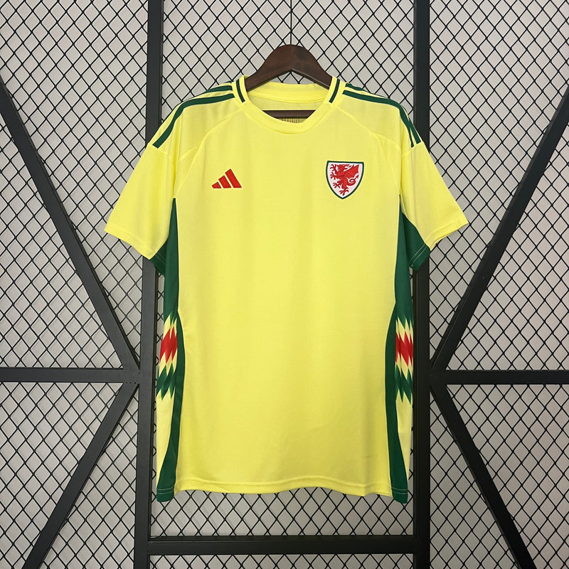 CAMISOLA PAIS DE GALES II EURO 2024 homem